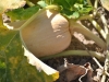 dsc_0076 dsc_0076